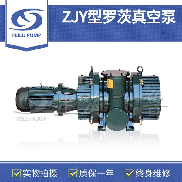 ZJY型羅茨真空泵 ZJY型羅茨真空泵
